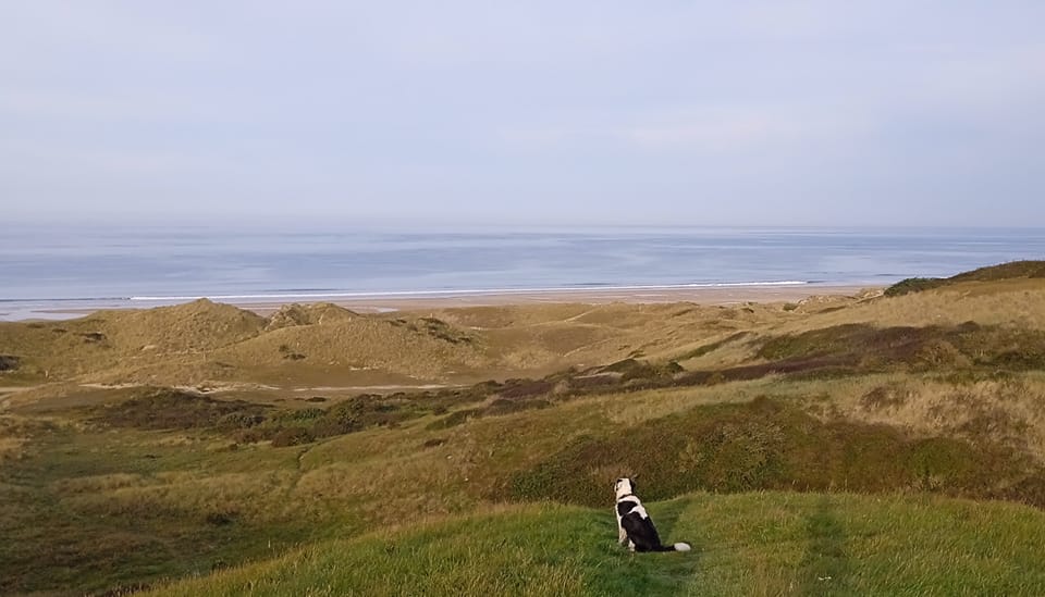 Balade dans les dunes d'Hatainville